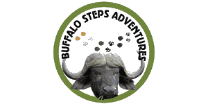 Buffalo Steps Adventures
