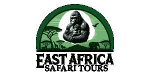 East Africa Safari Tours