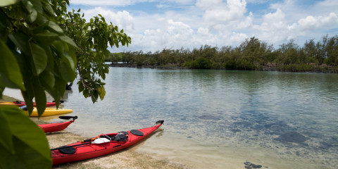 11-Day Family Trip to Mauritius