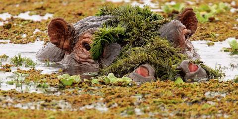 4-Day Kimana Luxury Wilderness