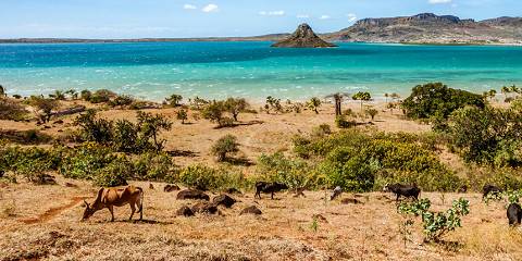 1-Day Antsiranana Excursion - Ramena