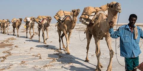 11-Day Tour Lalibela Omo Valley Danakil & Tigray Churches