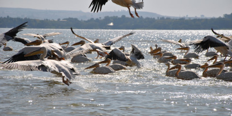 10-Day Short Classic Tour to Ethiopia's Highlights