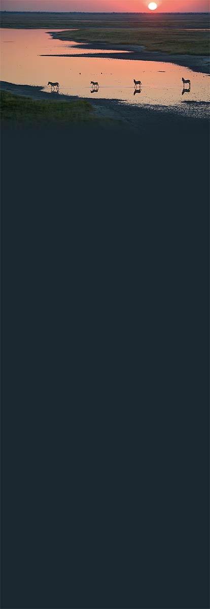 Hero background image