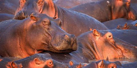 5-Day Group Tour Manyara Serengeti Ngorongoro Tarangire