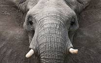 Kruger National Park