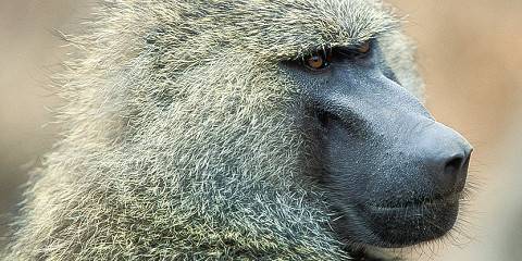 5-Day Mid Range Group Tour