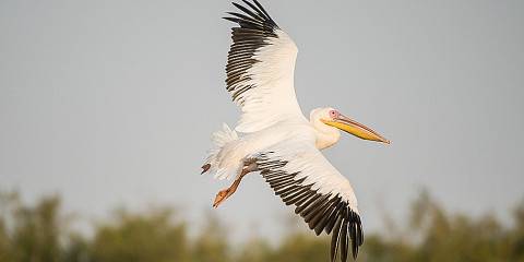 7-Day Endemic Birds and Epic Landscape Photograph Tour