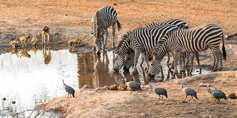 3-Day Malawi Wildlife Adventure