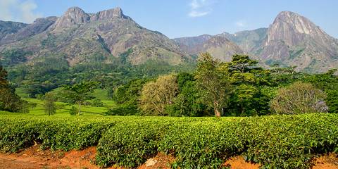 5-Day Southern Malawi Highlands Discovery