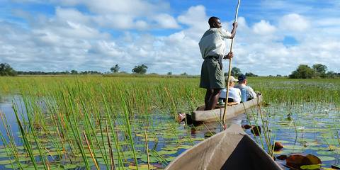 5-Day Mokoro and Big Cat Botswana Experience