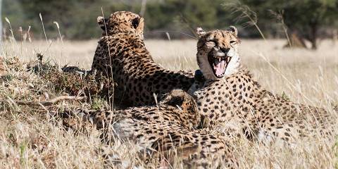 7-Day Breathtaking Namibia Fly-in Safari