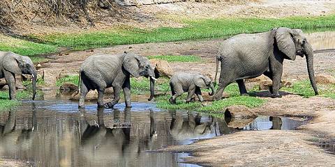 3-Day Tarangire, Ngorongoro and Manyara National Park