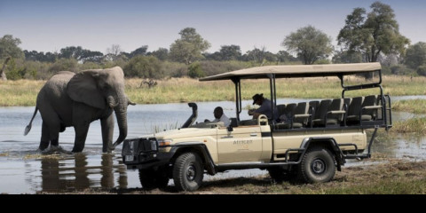 6-Day Affordable Magic Okavango Delta & Moremi Safari