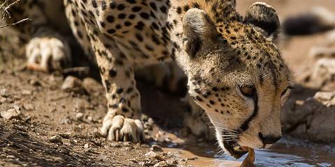 3-Day Masai Mara Eco Safari by Air