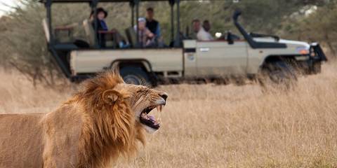9-Day Victoria Falls, Chobe and Okavango Fly-in Safari