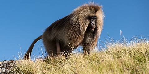 9-Day Northern Ethiopia Tour